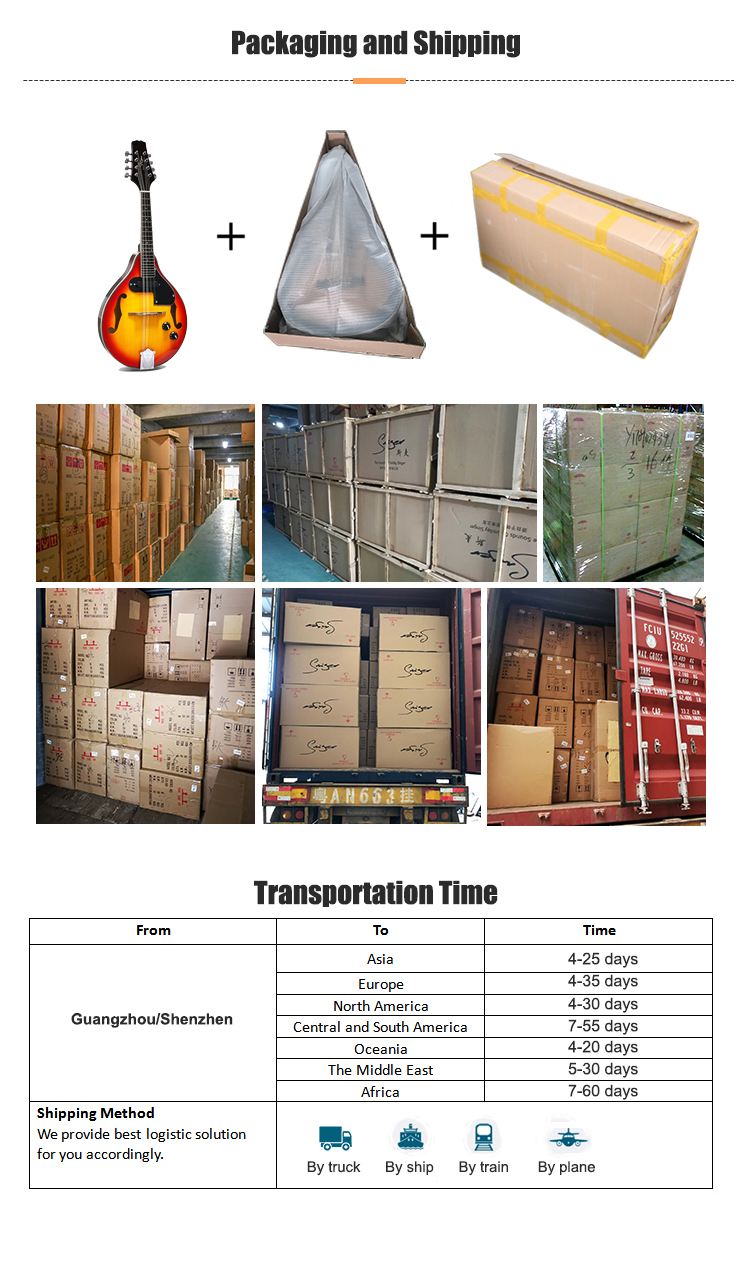 Dibujo del paquete de mandolina el&eacute;ctrica ac&uacute;stica