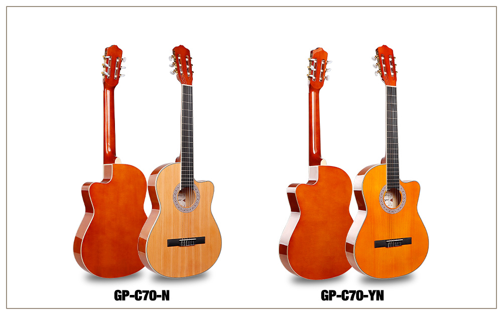 GP-C70 c&aacute;maras (2) 