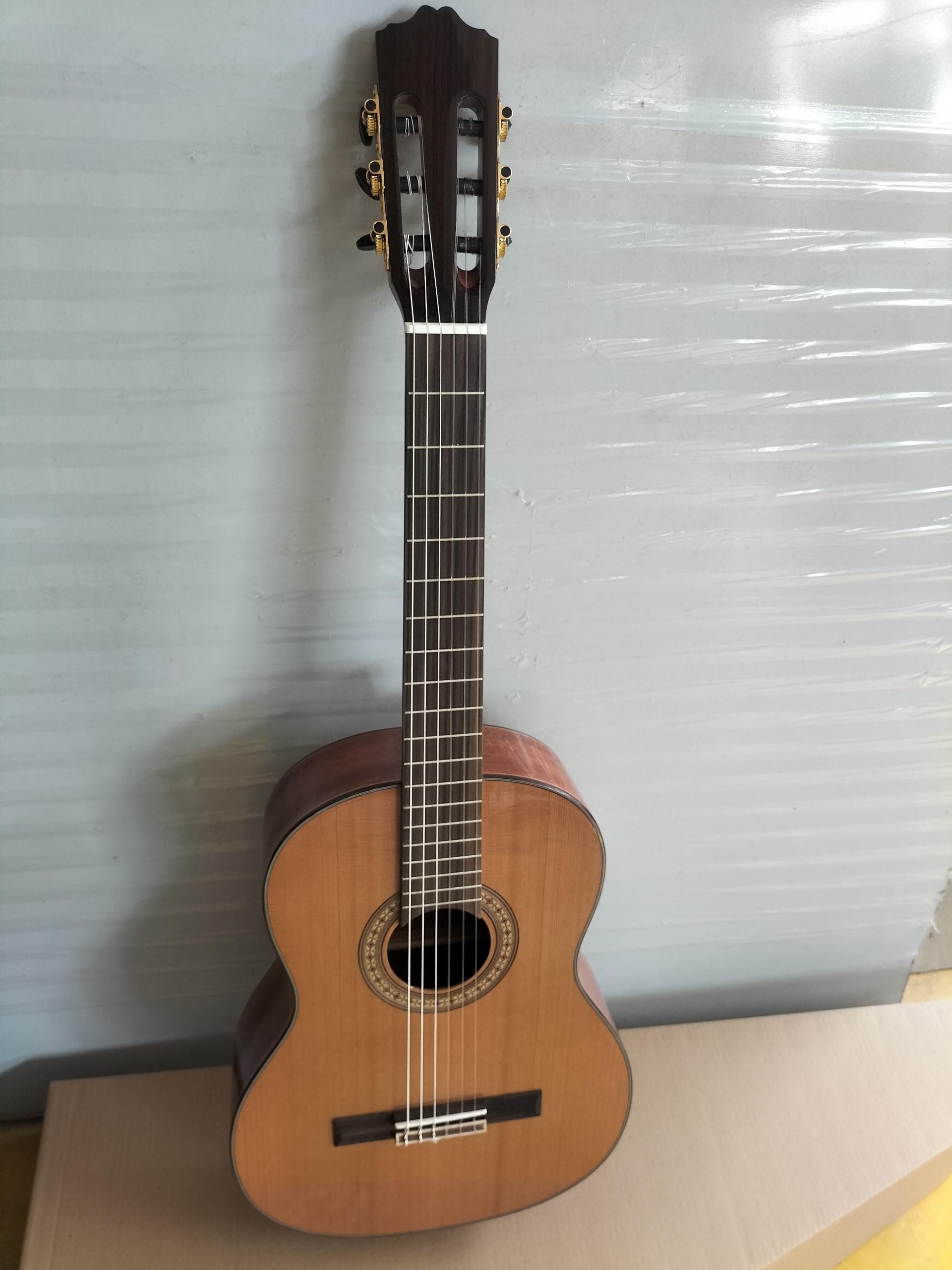 IMG20240705161543 (1) 