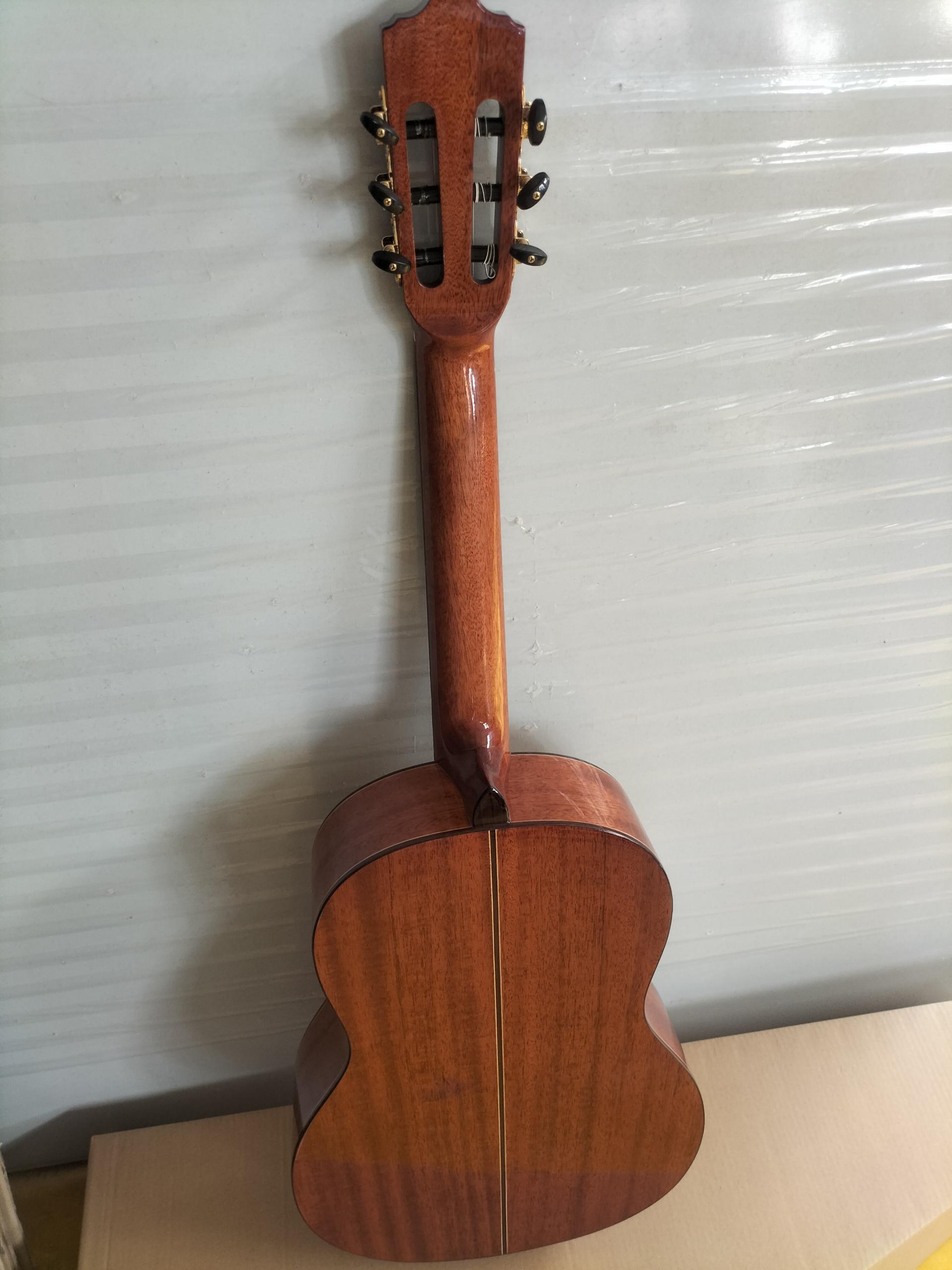 IMG20240705161554 (1) 