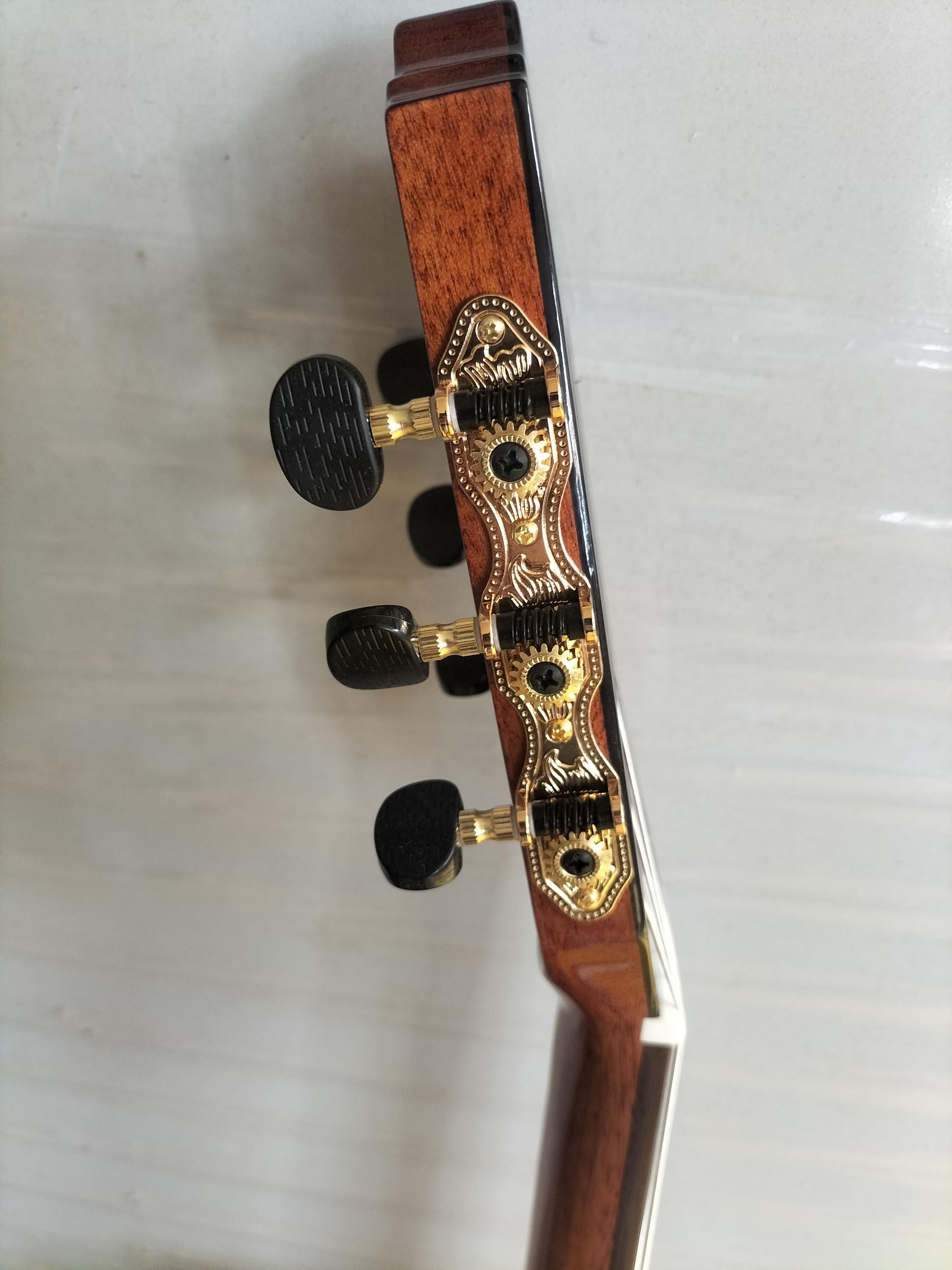 IMG20240705161653 (1) 