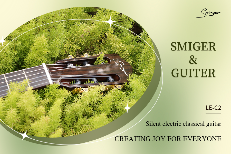 Guitarra cl&aacute;sica LE-C2